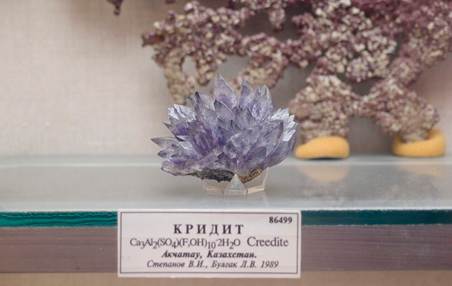 Сиреневый кридит